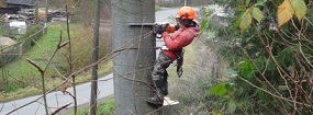 Kácení stromů ve ztížených podmínkách